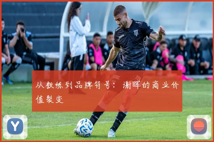 从教练到品牌符号：谢晖的商业价值裂变