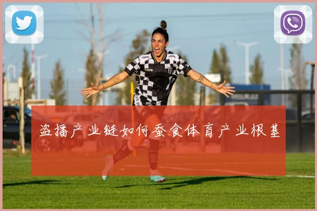 盗播产业链如何蚕食体育产业根基
