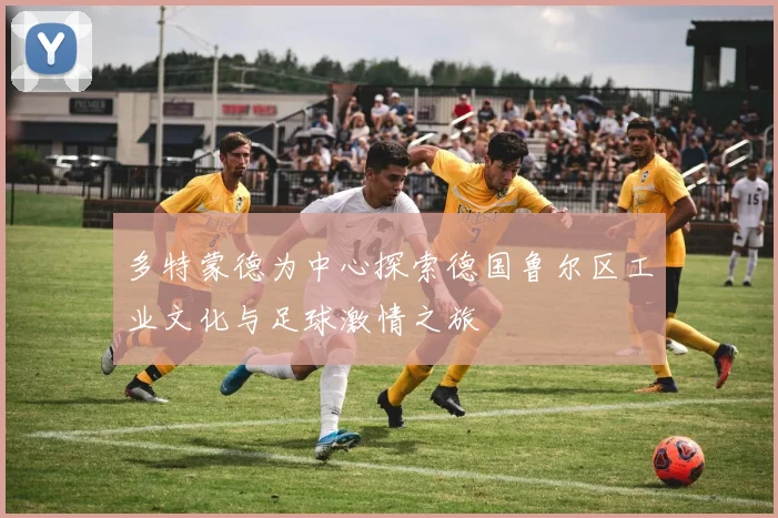 多特蒙德为中心探索德国鲁尔区工业文化与足球激情之旅