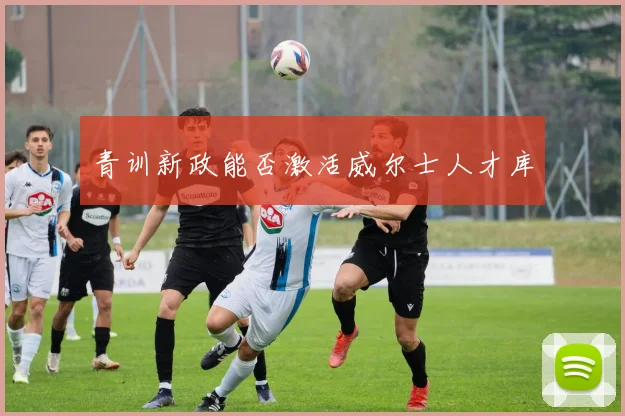 青训新政能否激活威尔士人才库