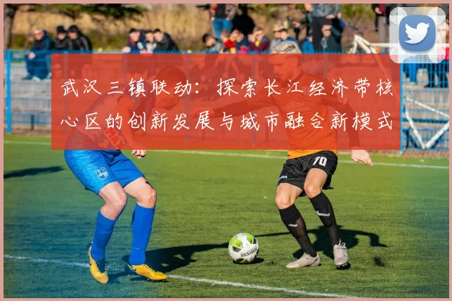 武汉三镇联动：探索长江经济带核心区的创新发展与城市融合新模式